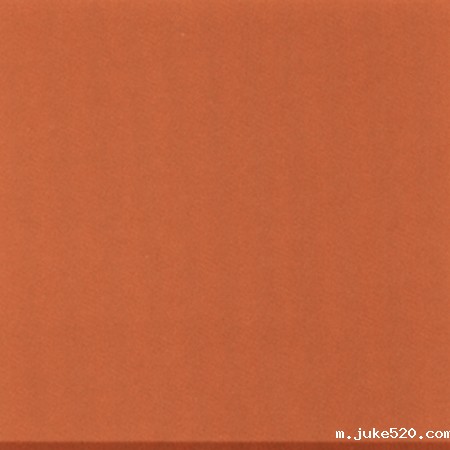 古建地砖 朱砂红